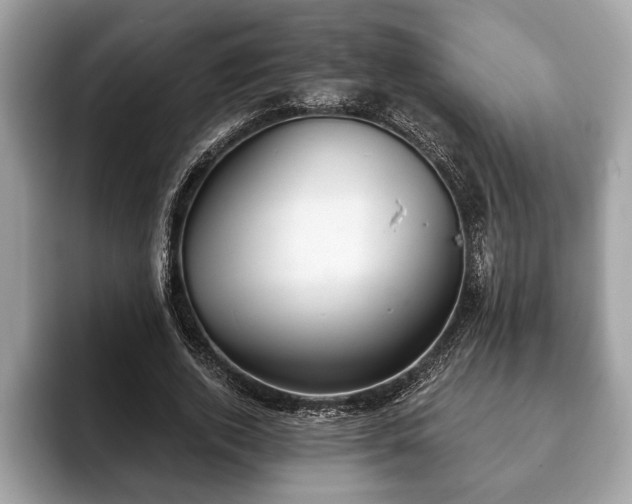 X0000093400728200710190924