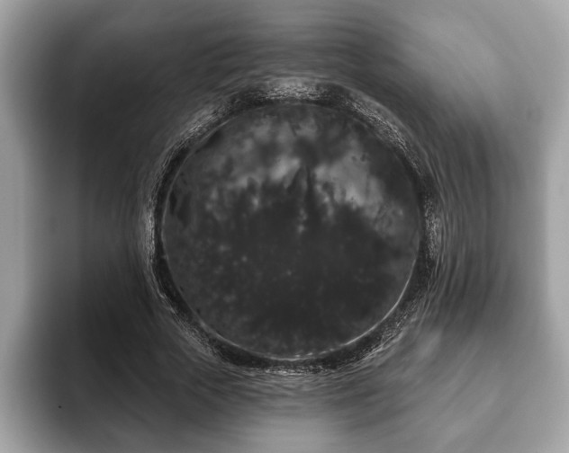 X0000093400729200710190924