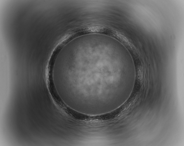 X0000093400730200710190924
