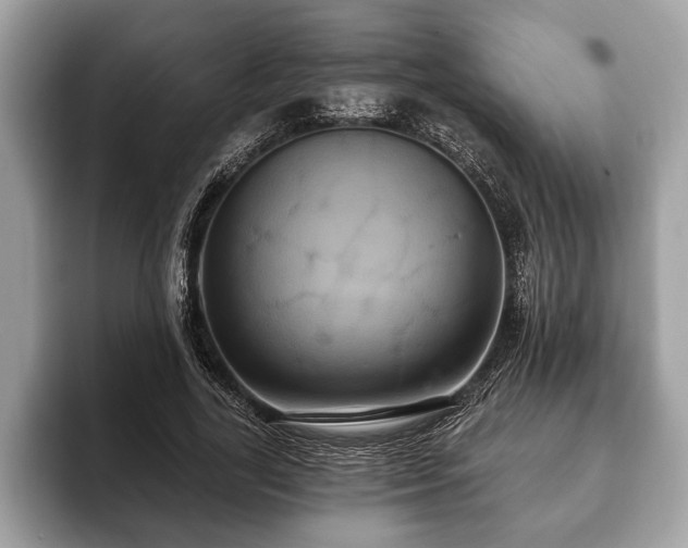 X0000093400731200710190924