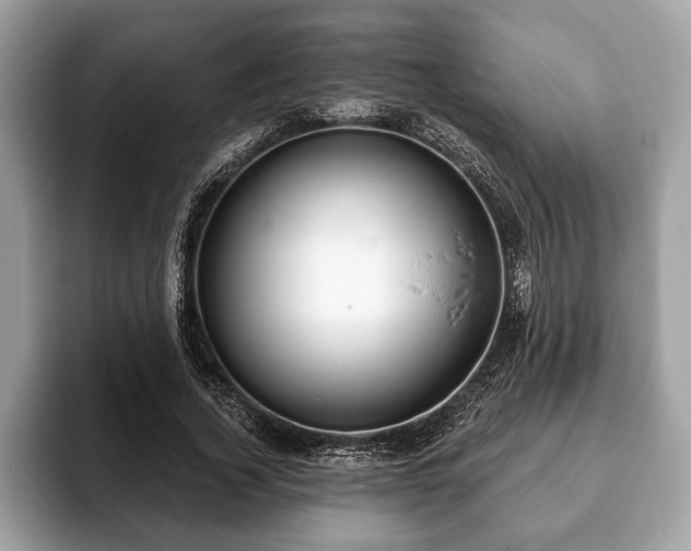 X0000093400732200710190924