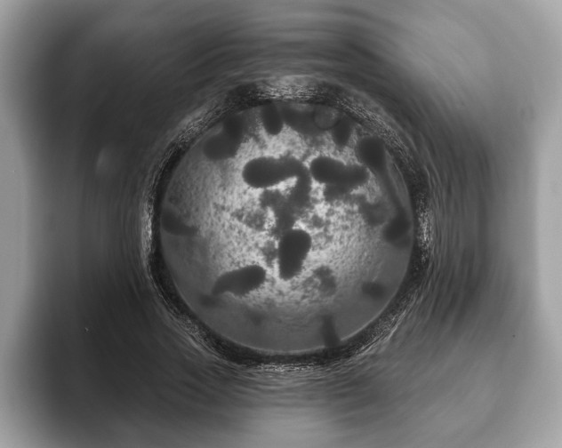 X0000093400733200710190924