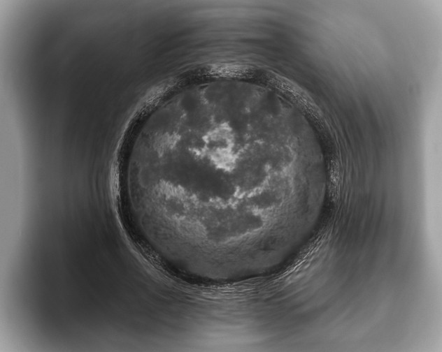 X0000093400734200710190924