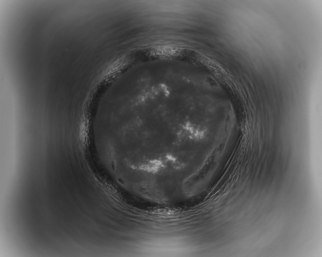 X0000093400735200710190924