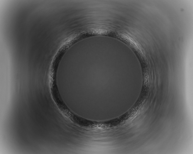 X0000093400736200710190924