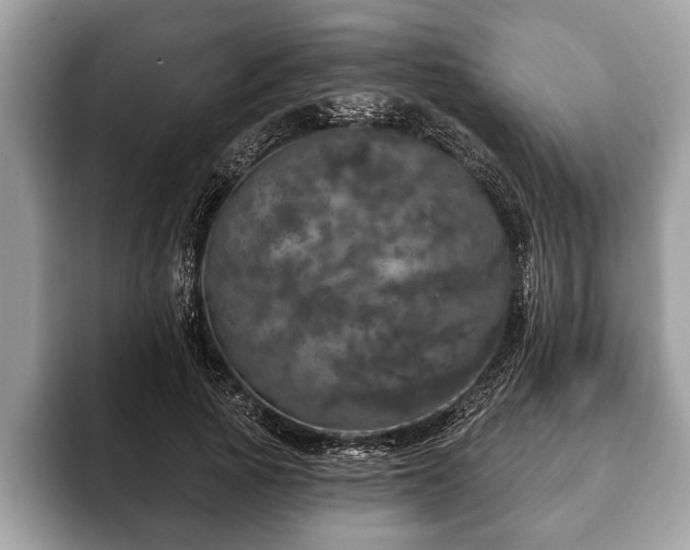 X0000093400737200710190924