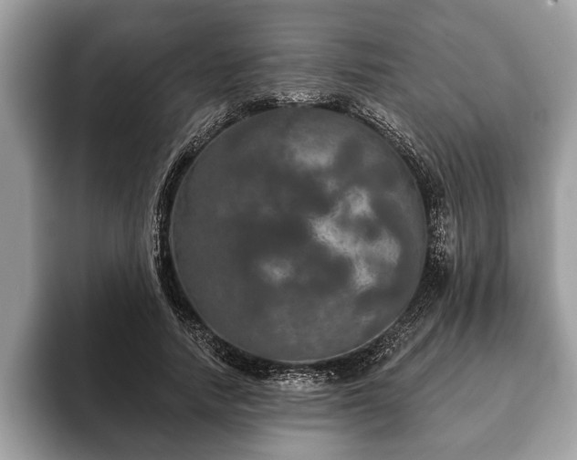 X0000093400738200710190924