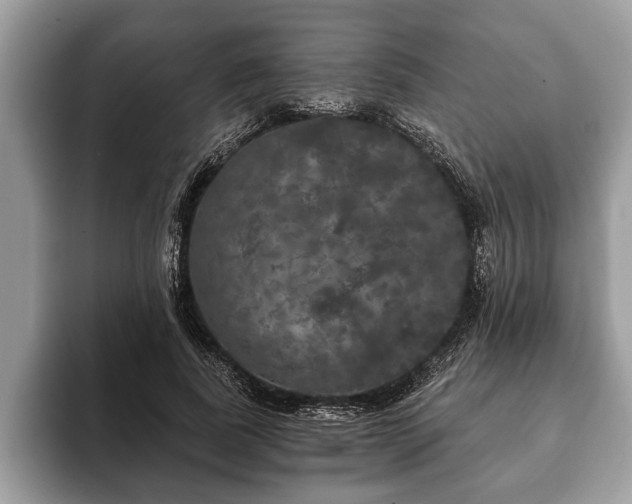 X0000093400739200710190924
