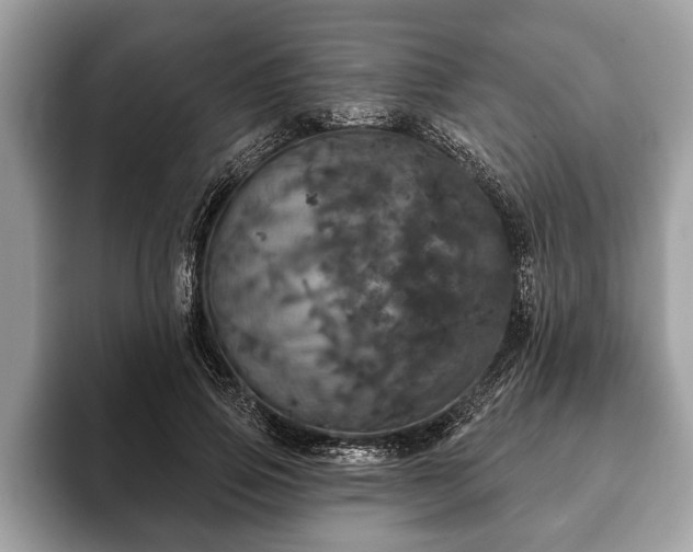X0000093400741200710190924