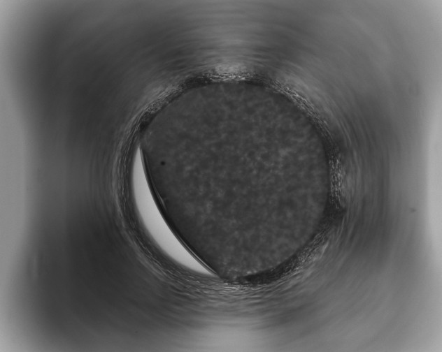 X0000093400742200710190924