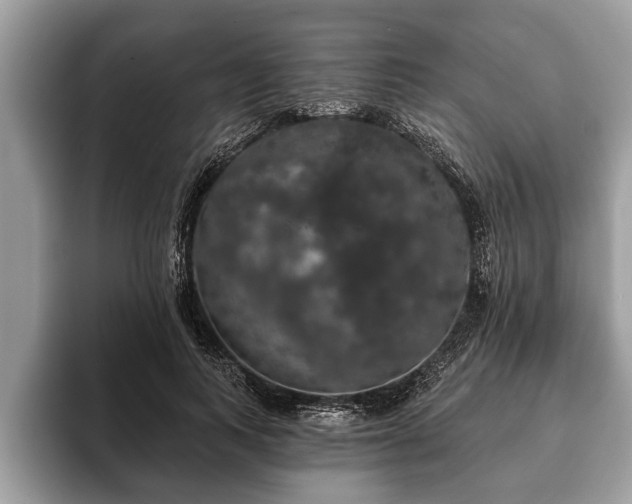 X0000093400743200710190924