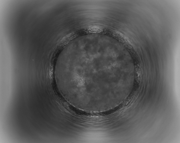 X0000093400745200710190924
