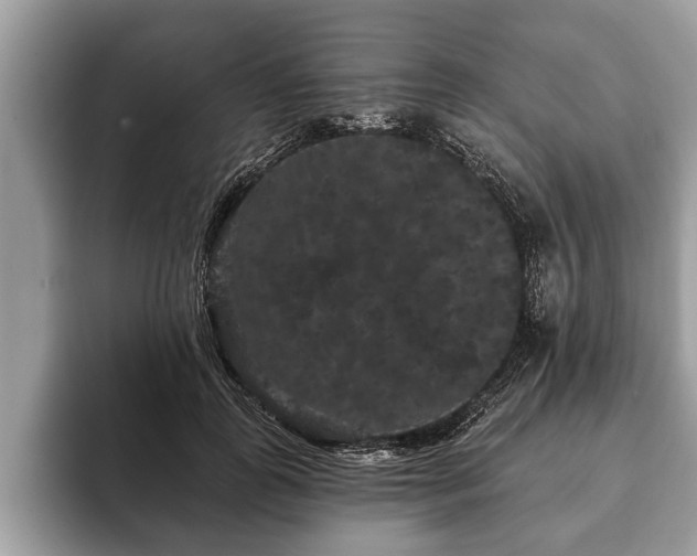 X0000093400747200710190924