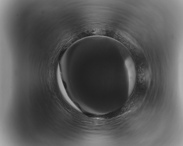 X0000093400748200710190924