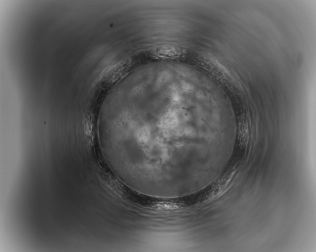 X0000093400749200710190924