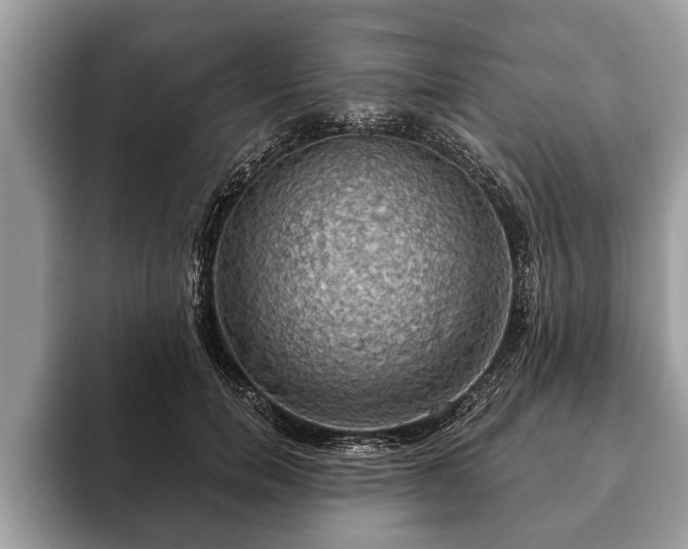 X0000093400750200710190924