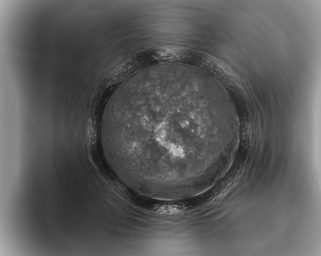 X0000093400751200710190924