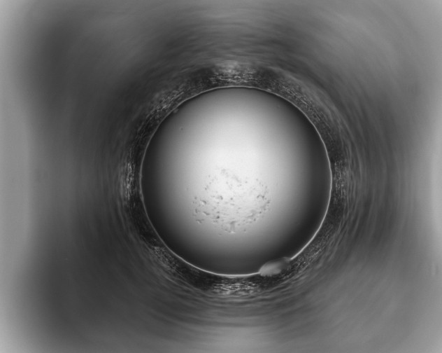 X0000093400752200710190924