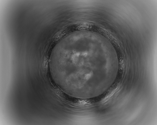 X0000093400753200710190924