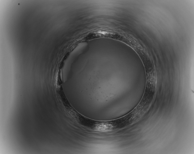 X0000093400754200710190924