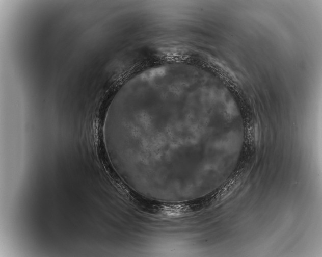 X0000093400757200710190924