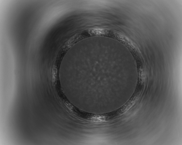 X0000093400760200710190924