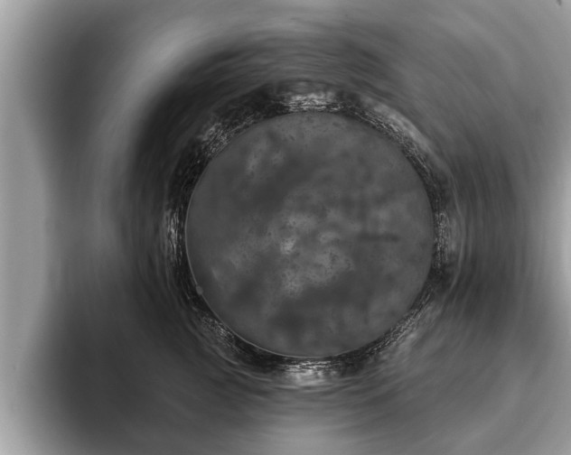 X0000093400761200710190924