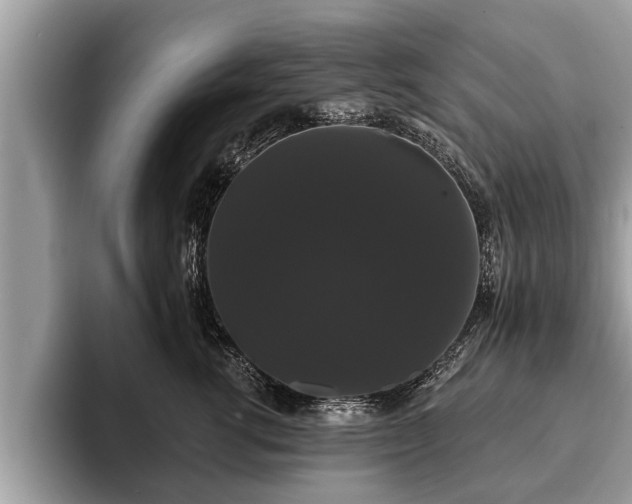 X0000093400762200710190924