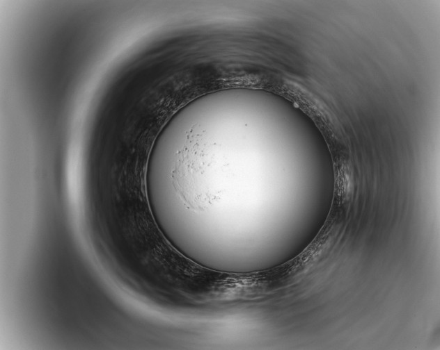 X0000093400764200710190924