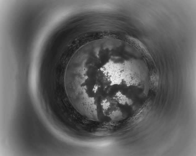 X0000093400765200710190924