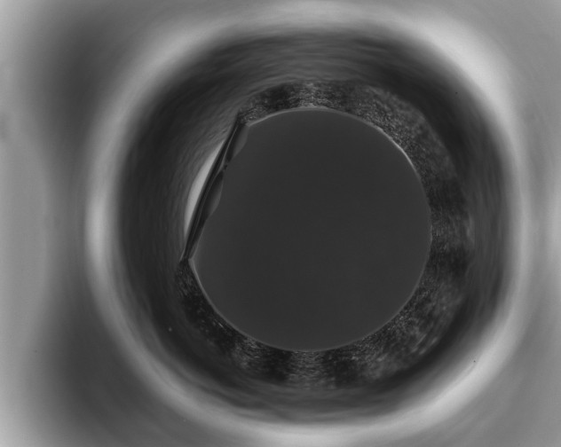 X0000093400766200710190924