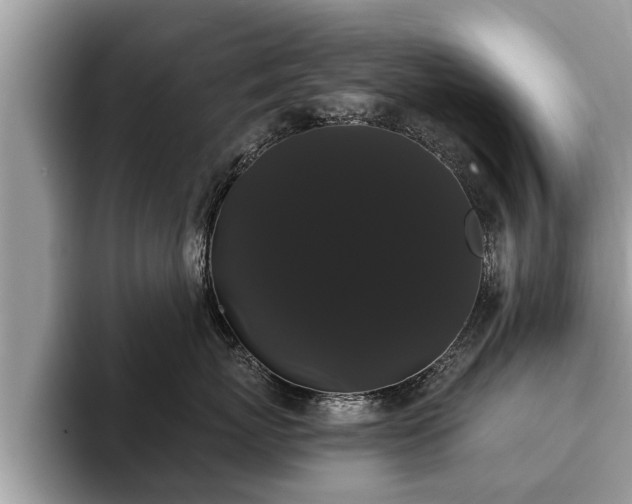X0000093400767200710190924