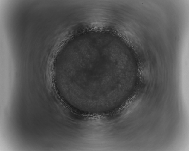 X0000093400769200710190923