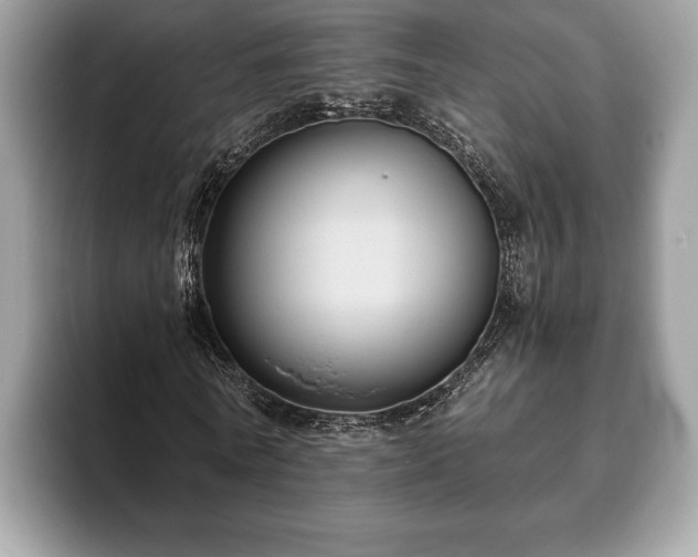 X0000093400770200710190923