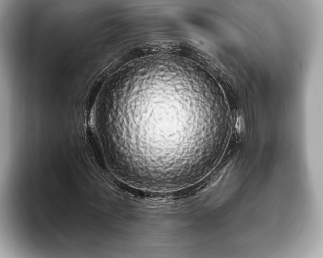 X0000093400771200710190923
