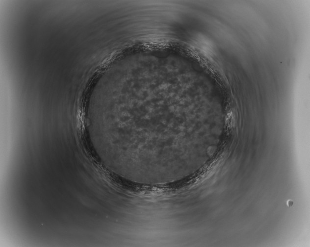 X0000093400772200710190923