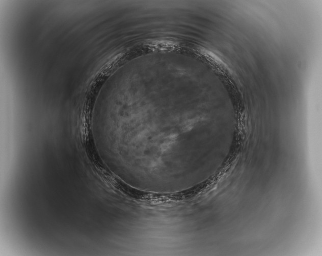 X0000093400774200710190923