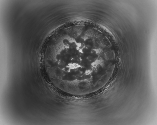 X0000093400775200710190923