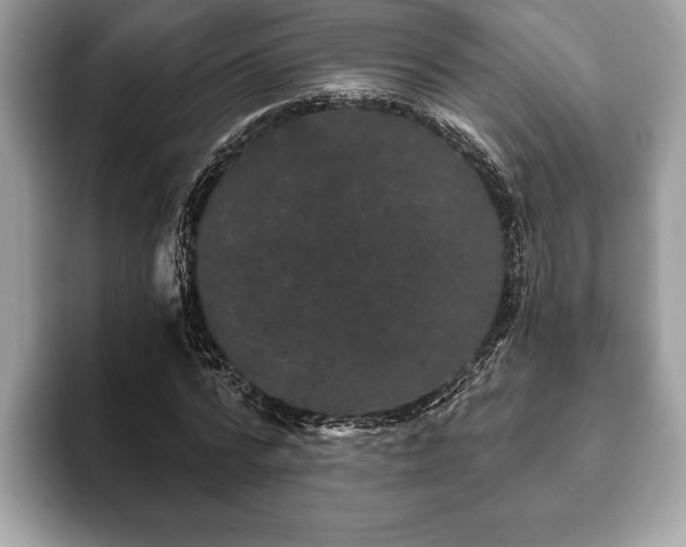 X0000093400776200710190923