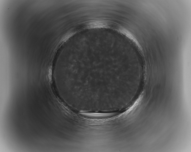 X0000093400777200710190923