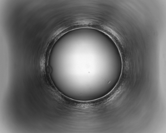 X0000093400778200710190923