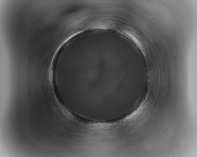 X0000093400779200710190923
