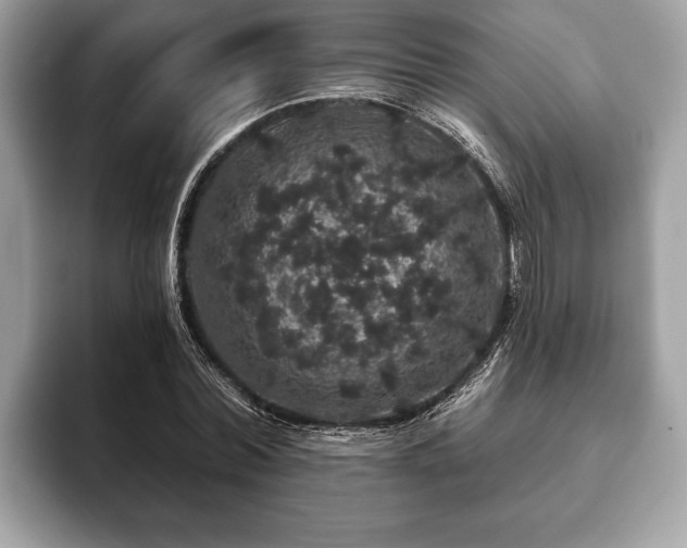 X0000093400780200710190923
