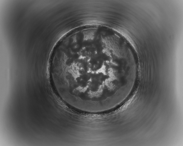 X0000093400783200710190923