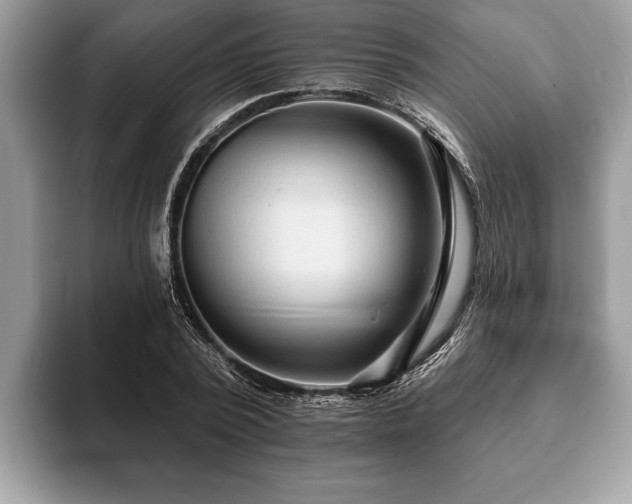 X0000093400784200710190923