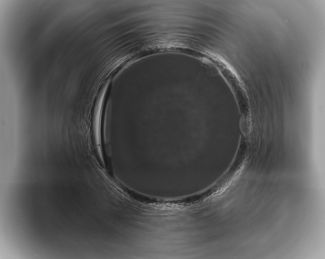 X0000093400785200710190923