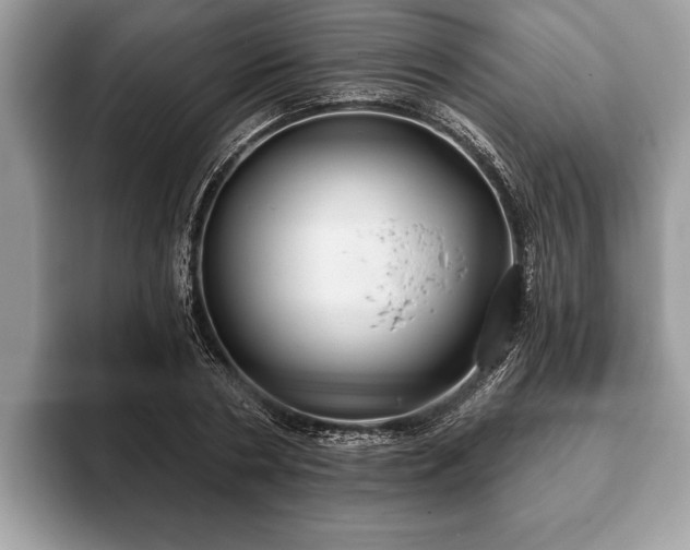 X0000093400786200710190923