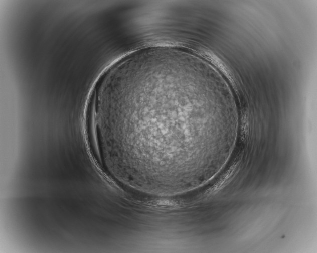 X0000093400787200710190923