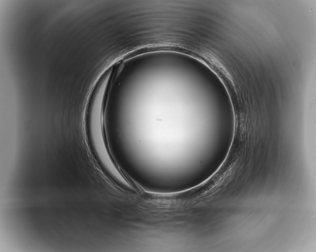 X0000093400789200710190923