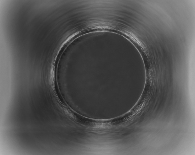 X0000093400790200710190923